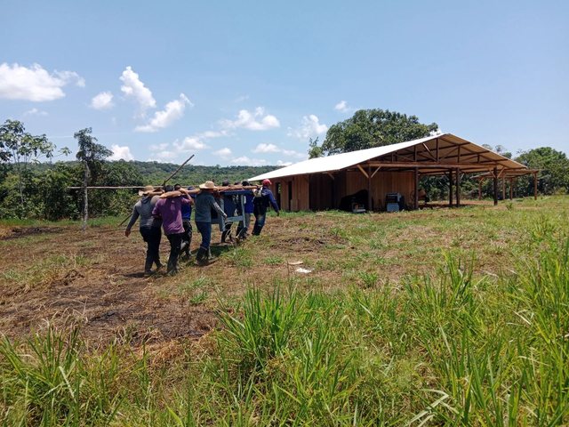 CO+ Selva Amazónica — carpintería comunitaria