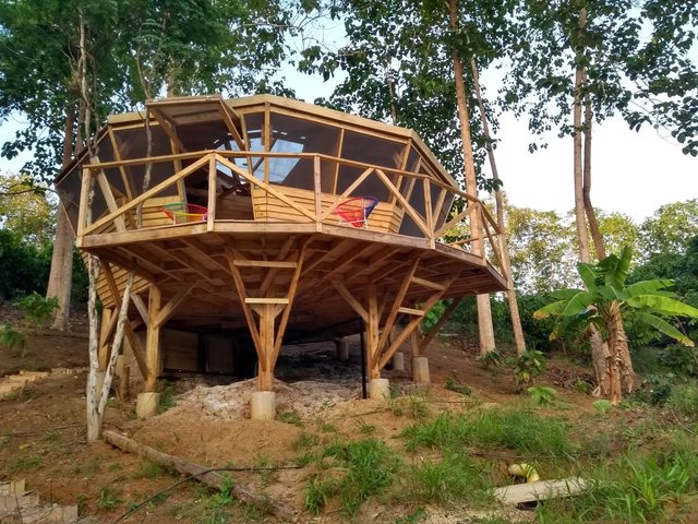 Cocohabs — interior y luz natural